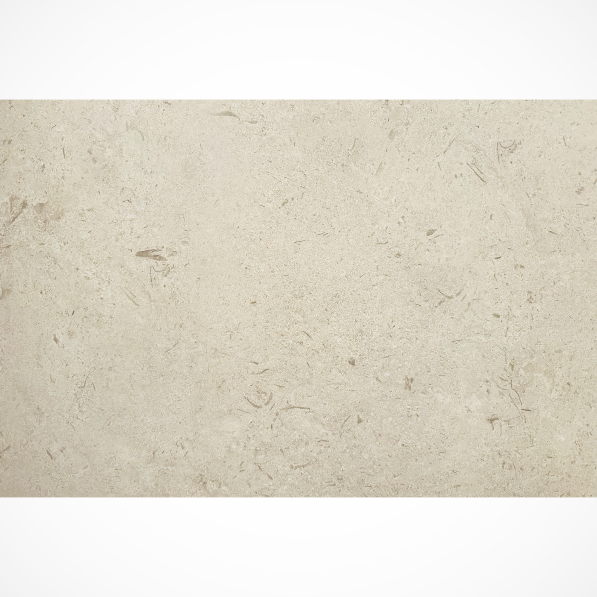 Shellstone Matte Porcelain Paver 24x36